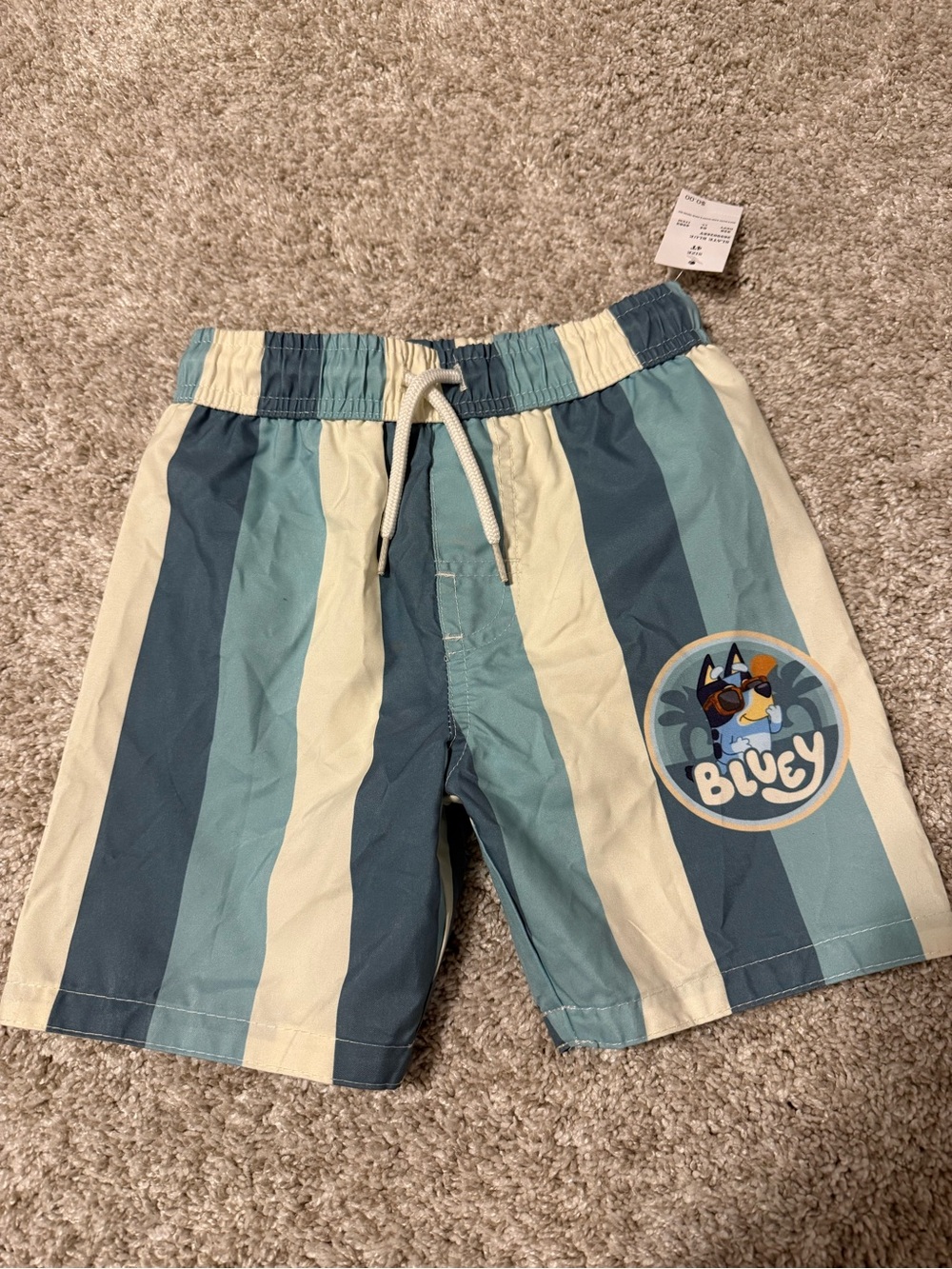 Toddler Boys Bluey Striped Swim Shorts